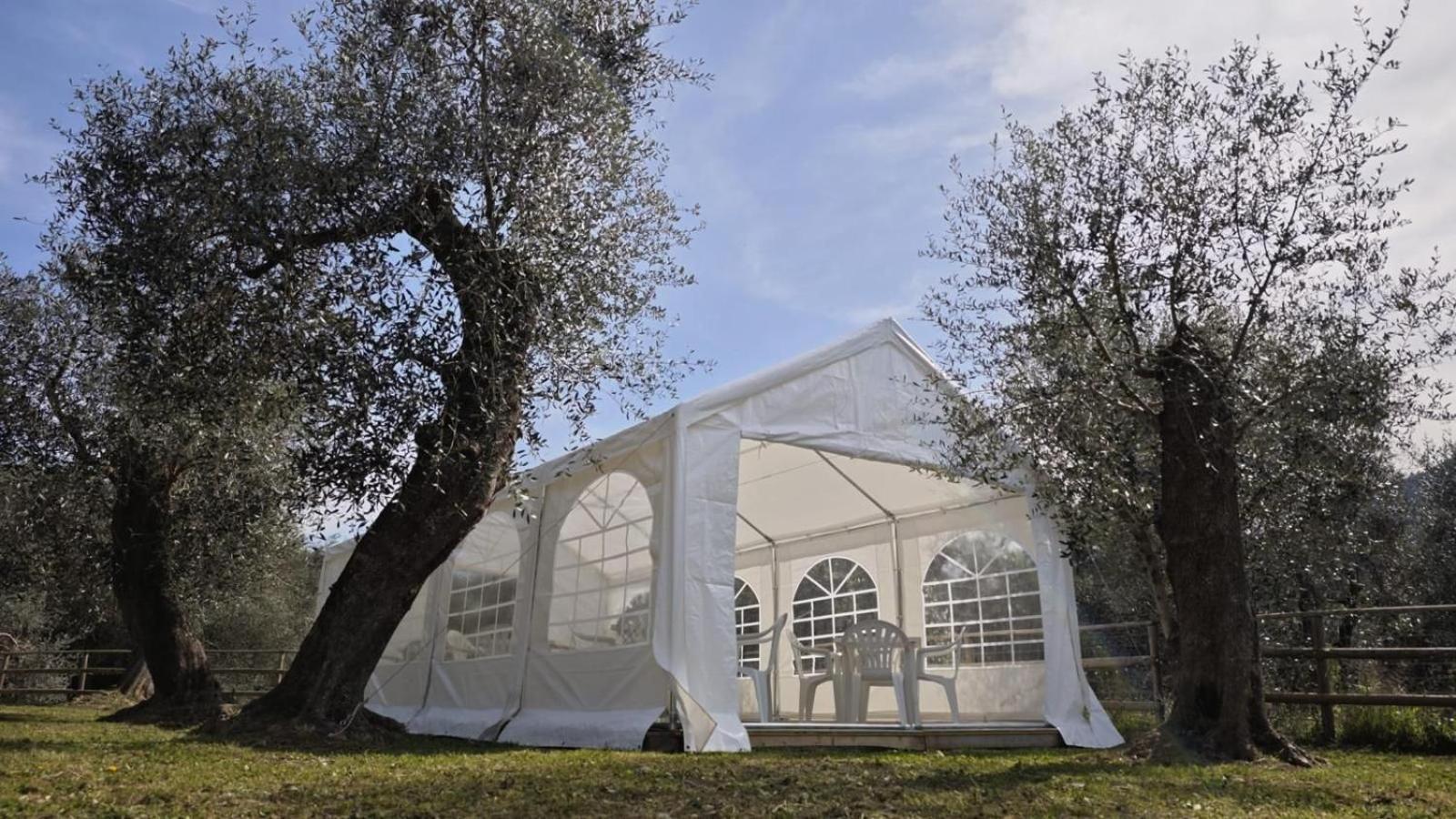 Appartamento Alba Dachi Farm Marina dʼMarina dʼAndora Εξωτερικό φωτογραφία