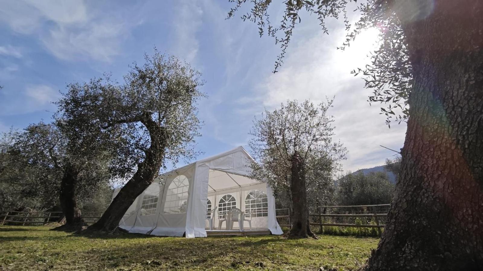 Appartamento Alba Dachi Farm Marina dʼMarina dʼAndora Εξωτερικό φωτογραφία